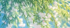 春分后的气候有什么变化 春分节气气候特点